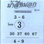 ม้าสีหมอก 16 9 65