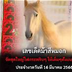 ม้าสีหมอก 16 3 66